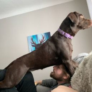 Meet your Posher, Cole